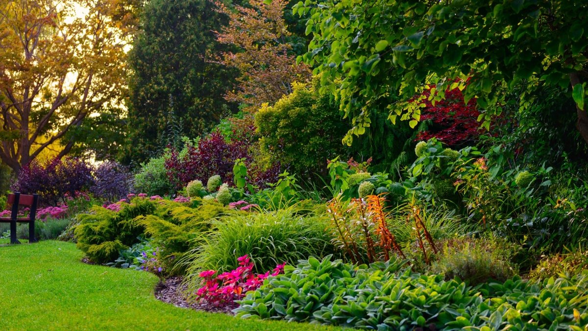 14 Night-Scented Flowers For Your Garden - night-scented flowers