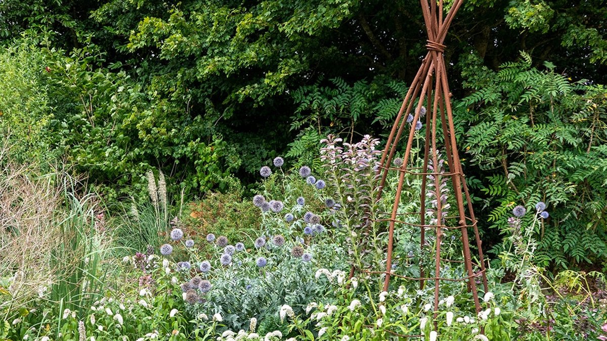 Top climbing plants to adorn your garden obelisk Top climbing plants to adorn your garden obelisk - climbing plants