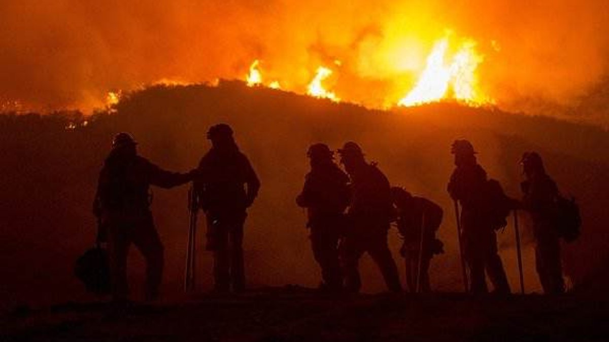 CatIQ pegs Jasper wildfire losses at $1.3bn - wildfire losses
