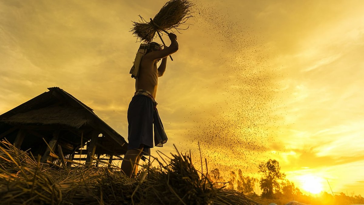 India Faces Weak Monsoon Season Ahead India Faces Weak Monsoon Season Ahead - monsoon season
