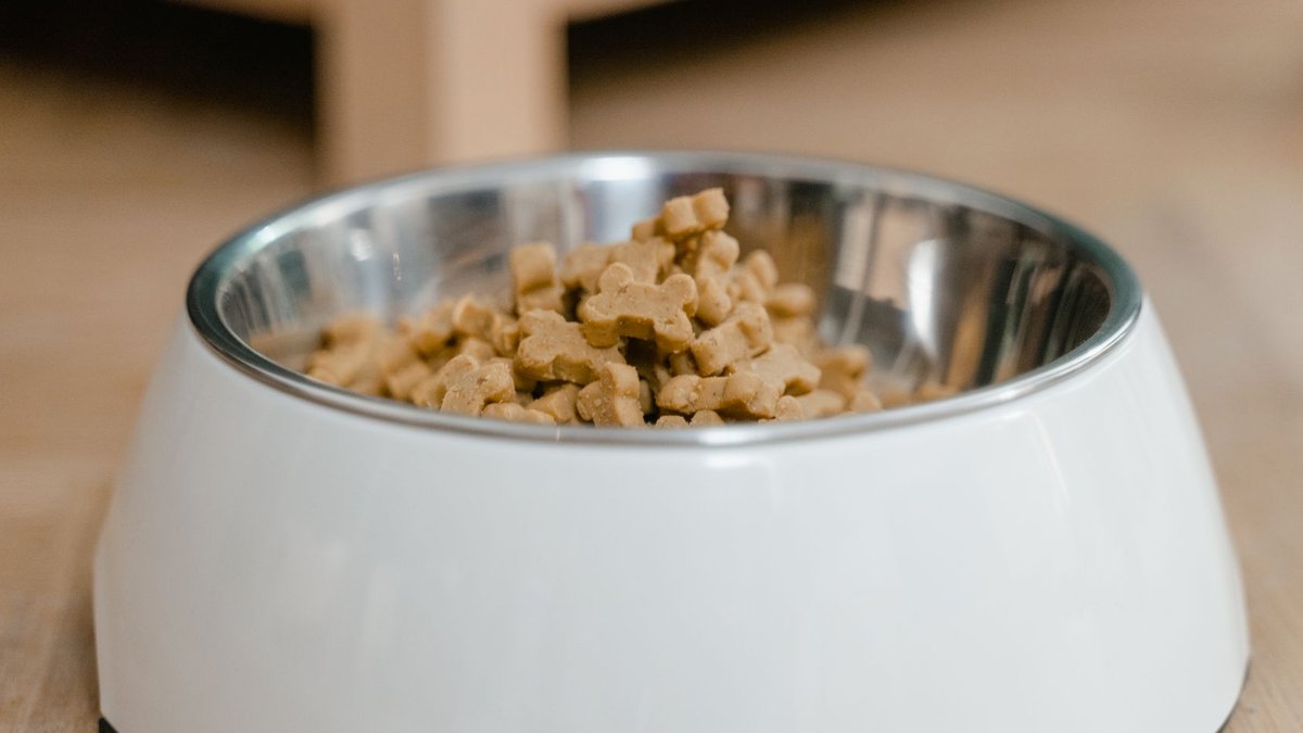 Mexican expert urges pet food makers to cut production losses - production losses