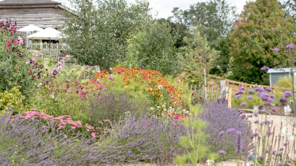 Drought-proof your garden with these tips