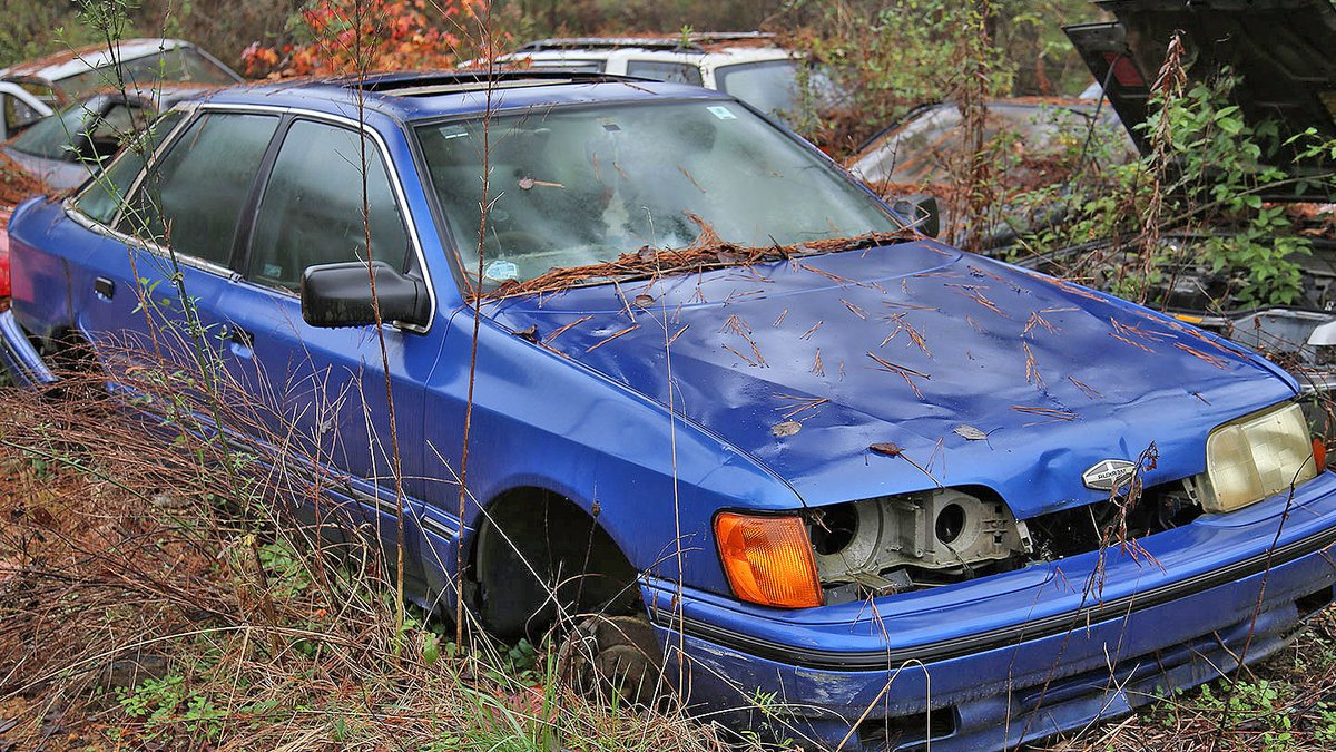 Unexpected Treasures Discovered at Georgia Junkyard - ford mustang