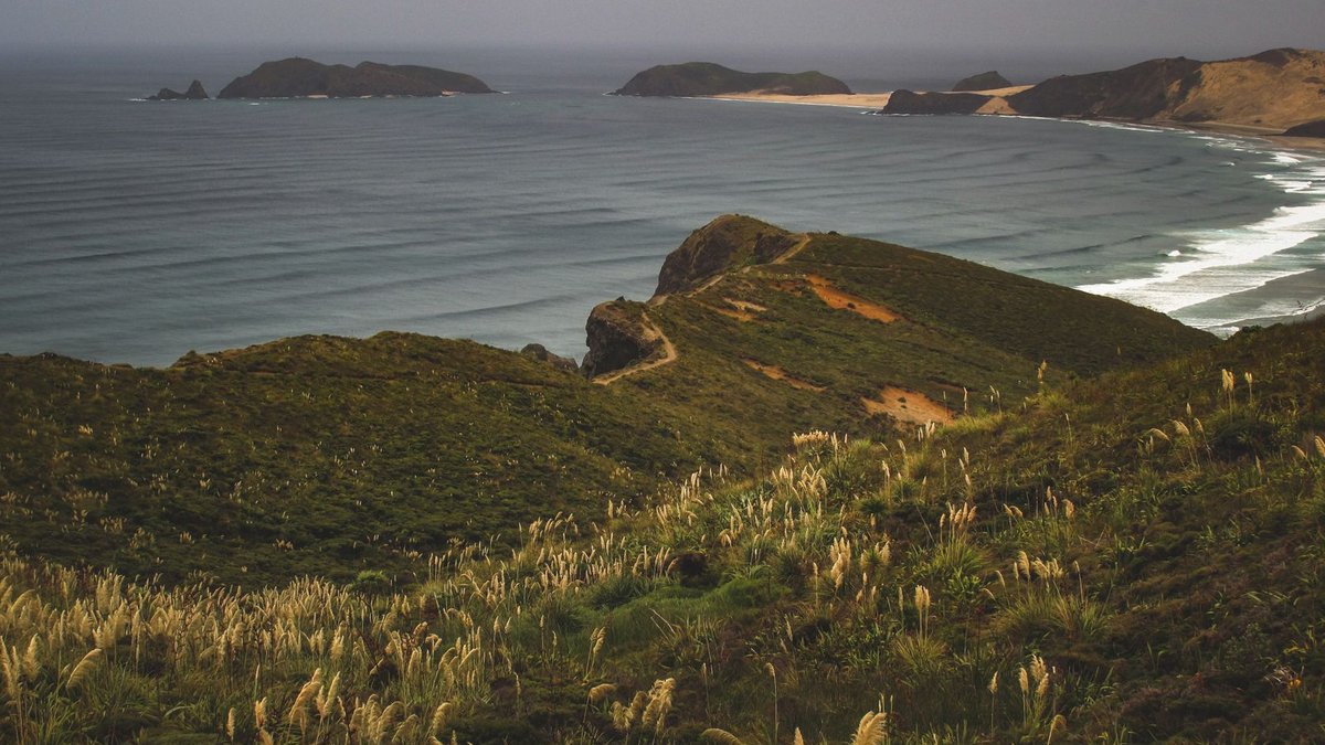 New Zealand aims to boost off season tourism - new zealand tourism