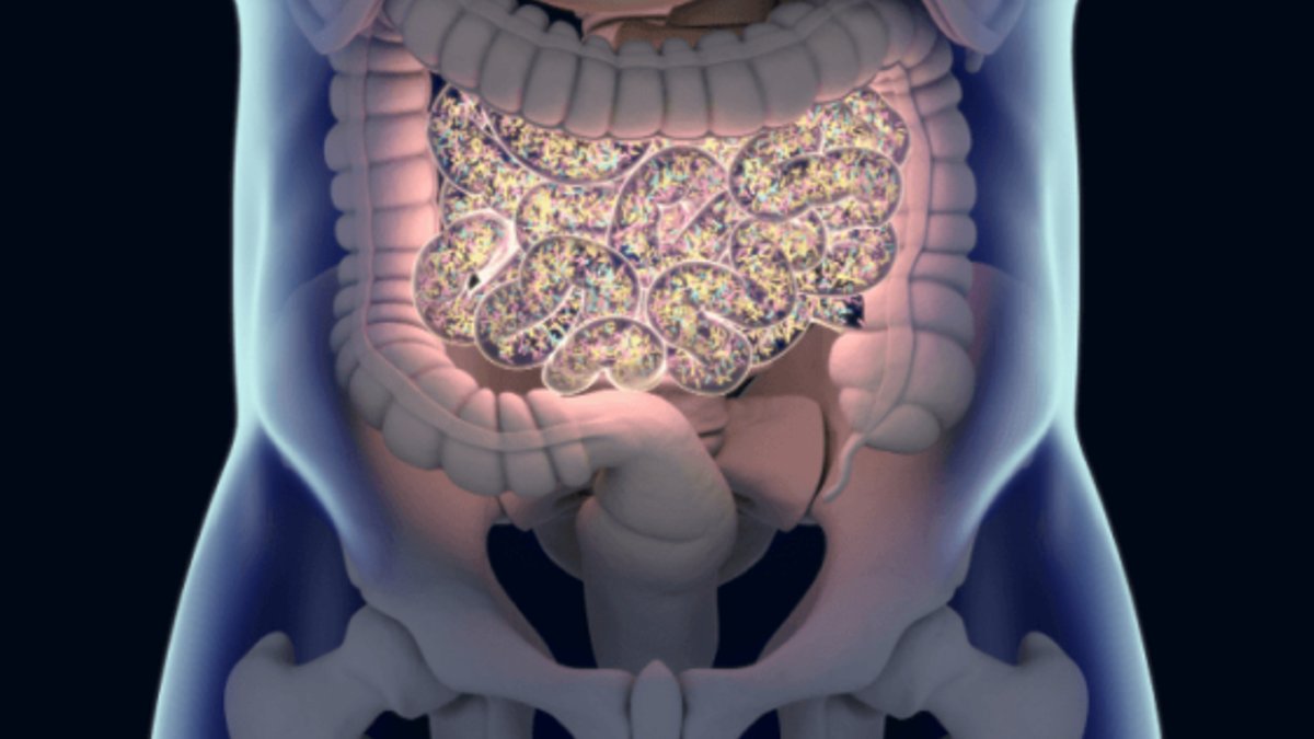 Gundry Shares Microbiome Health Tips - microbiome health