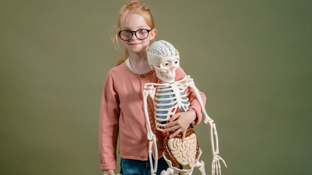 Scientists find gut-linked IBD genes Scientists find gut-linked IBD genes - ibd genes