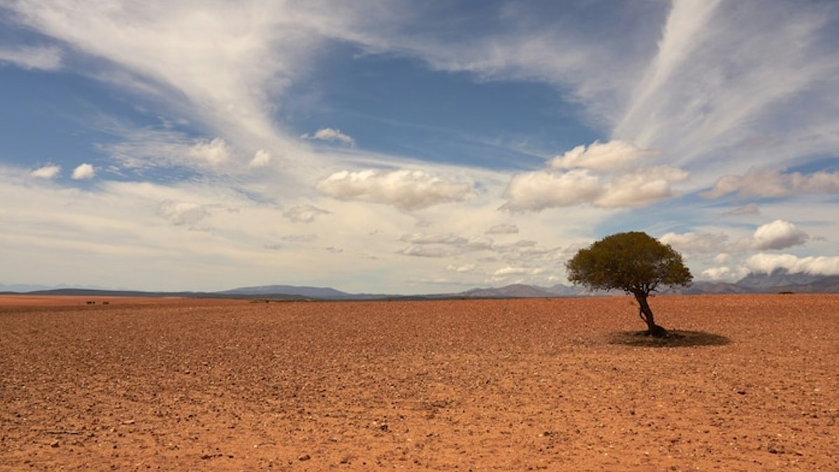 WMO predicts El Nino to intensify from August - el nino intensify