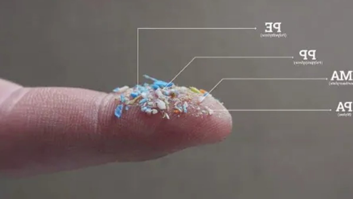 Microplastics found in everyday products raise alarms - microplastics regulations