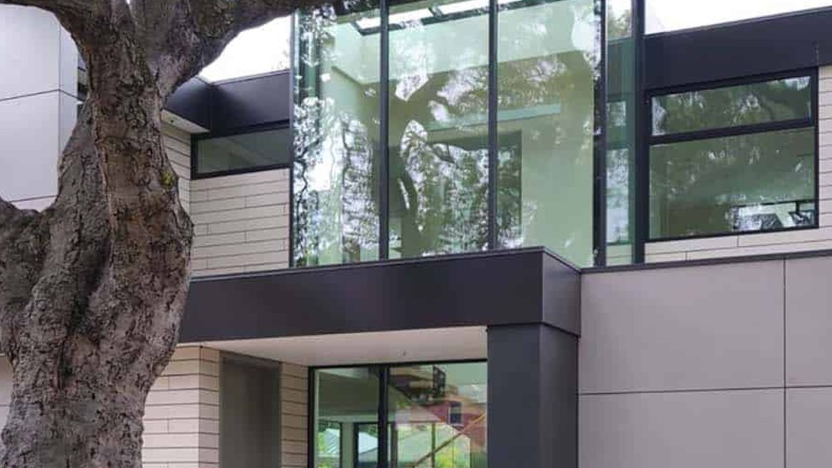 Palo Alto home embraces century-old oak - oak tree design