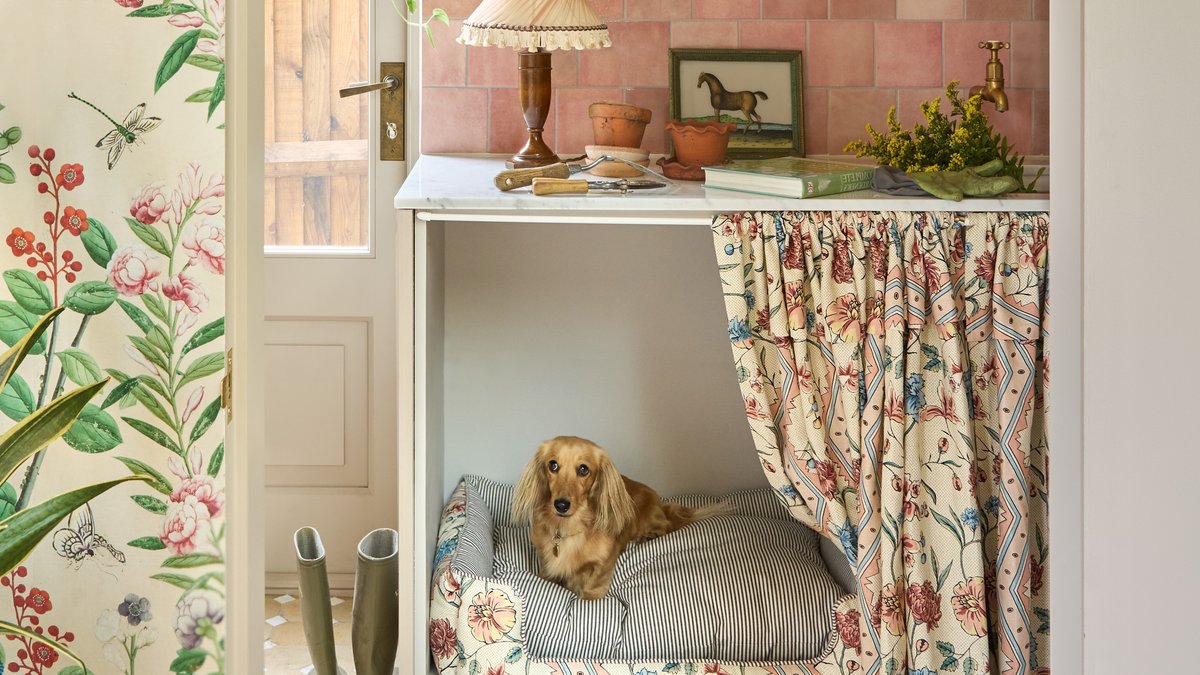 Keeping Dogs Cool at Home Without AC Keeping Dogs Cool at Home Without AC - dog cooling