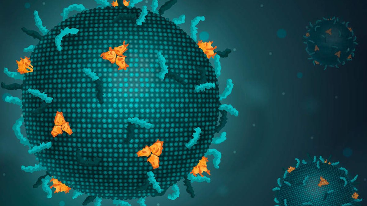 Virus outbreak prompts national team deployment - virus outbreak