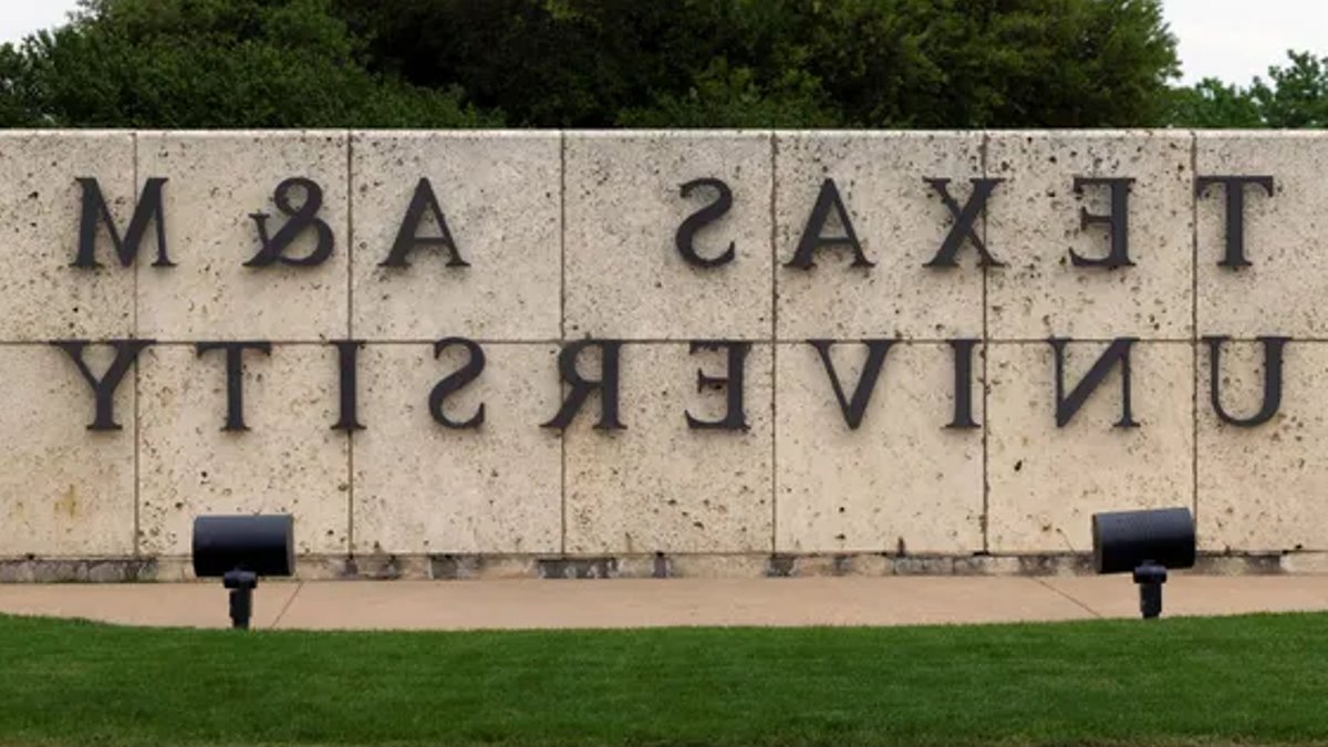 AAUP Sues Texas A&M Over Race Teaching Limits AAUP Sues Texas A&M Over Race Teaching Limits - aaup lawsuit