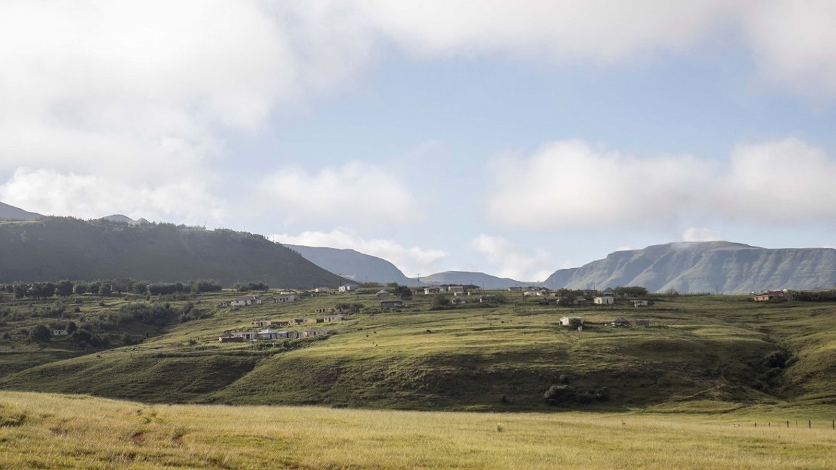 South African Farmers Earn Carbon Credits From Grassland Restoration South African Farmers Earn Carbon Credits From Grassland Restoration - grassland restoration carbon credits