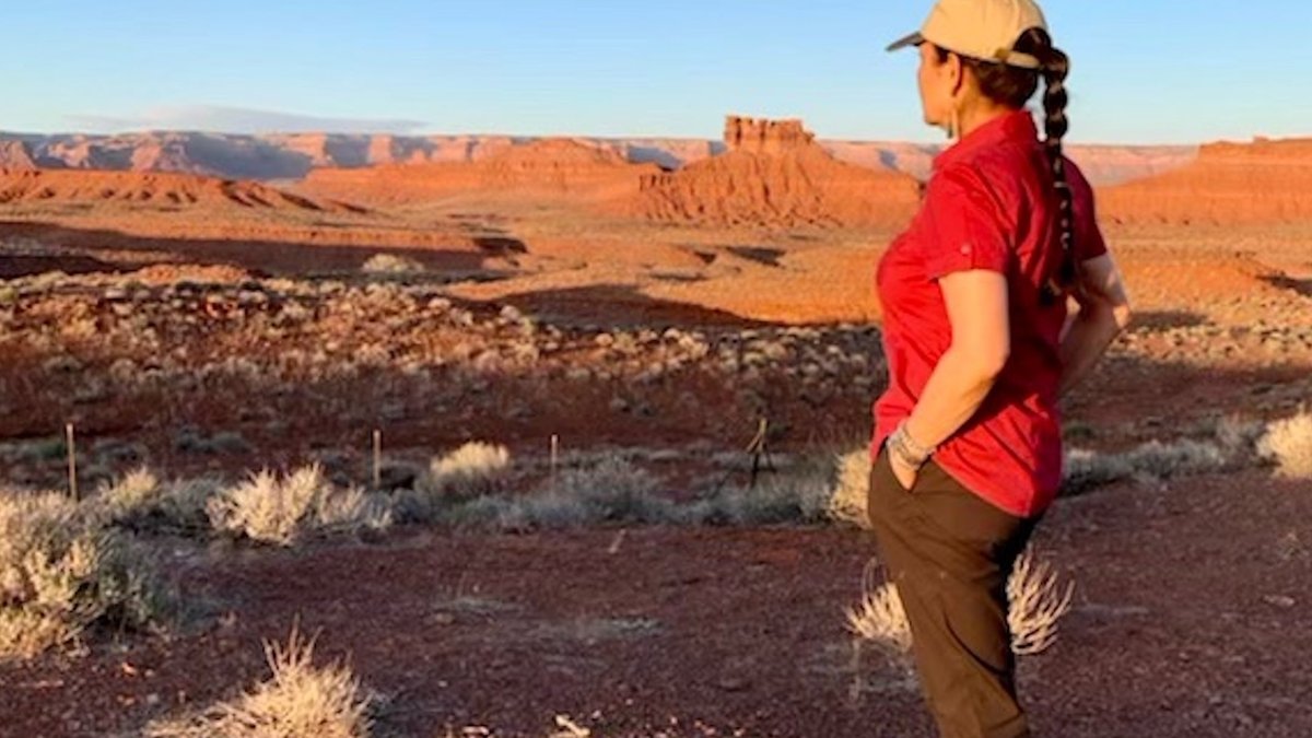 Trump opens lands that cannot be replaced - bears ears lands