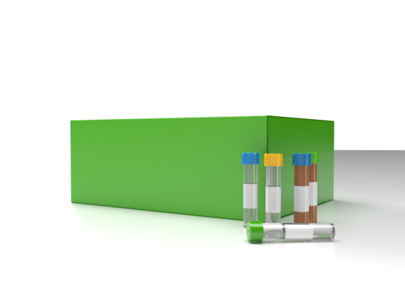 ProteoGenix Golden Taq Polymerase package