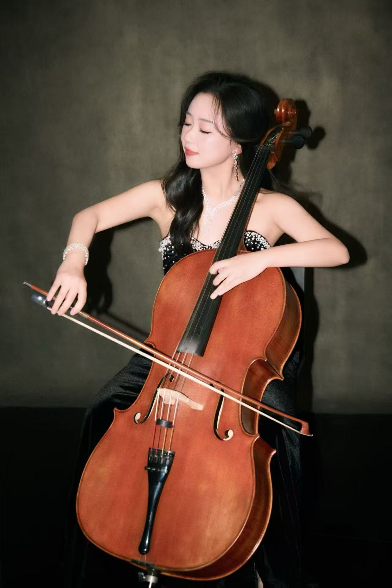 乐器《草原赞歌》