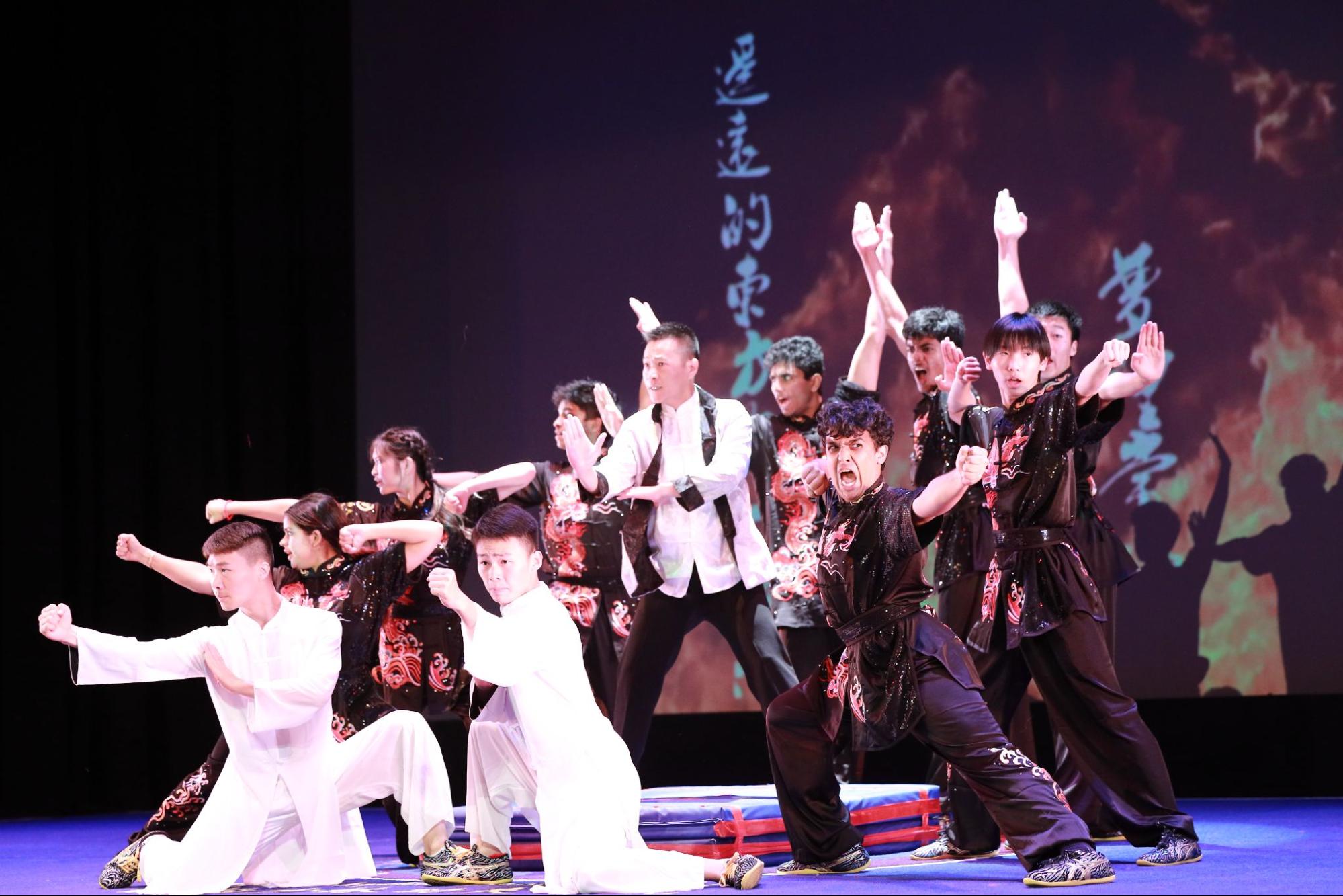 武术《龙的传人》