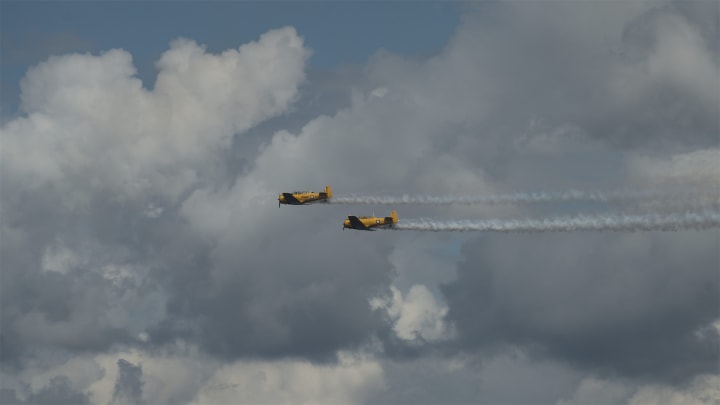 DSC03761.jpg