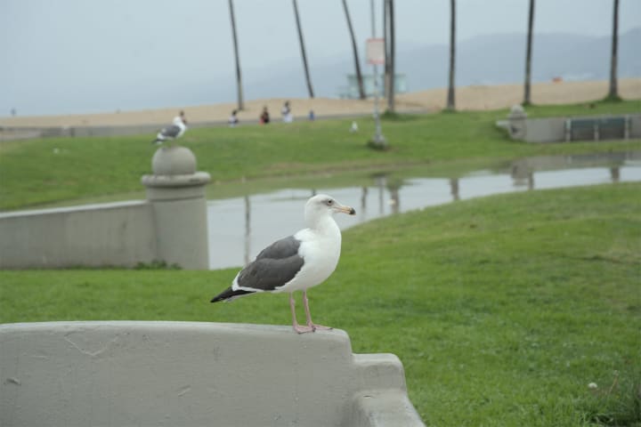 DSC02862.jpg