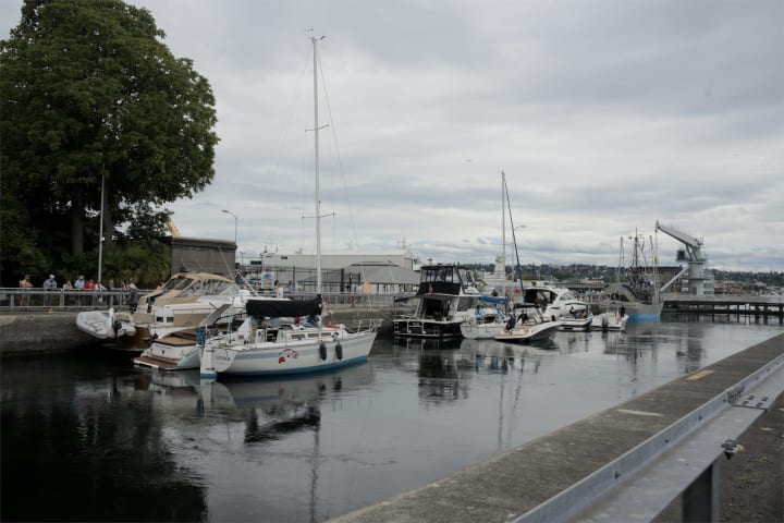 DSC03042.jpg