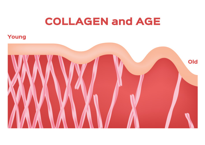 How to Prevent Collagen Loss as You Age - Prejuvenation