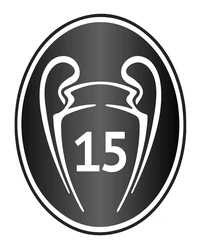 15 Champions League sticker STK-333