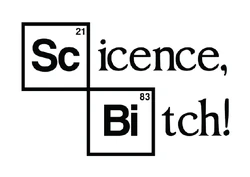 Breaking Bad Science Bitch sticker STK-31
