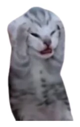 ستيكر Cats STK-1300