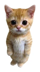 ستيكر Cats STK-1328