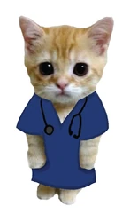 Sticker Cat Nurse STK-299