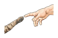 ستيكر Creation Of Cat STK-51