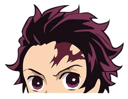 Demon slayer sticker STK-1409