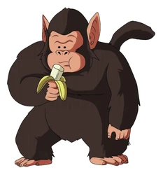 Sticker Dragon Ball Z STK-1417