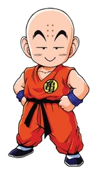 Sticker Dragon Ball Z STK-1423