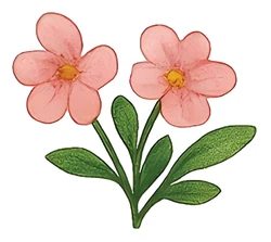 ستيكر Flowers STK-2367