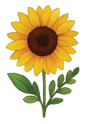 ستيكر Flowers STK-2371