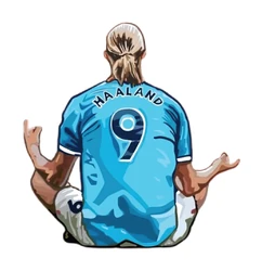 Haland Man City Celebration sticker STK-358