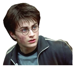 Sticker Harry Potter STK-1838