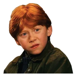 Sticker Harry Potter STK-1840