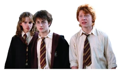 Sticker Harry Potter STK-1844