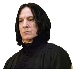 Sticker Harry Potter STK-1846
