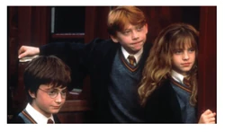 Sticker Harry Potter STK-1847
