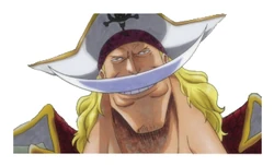 Sticker One Piece STK-1528