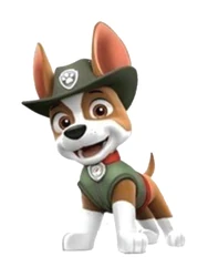 Paw Patrol sticker STK-656
