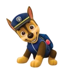 Paw Patrol sticker STK-659
