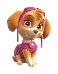 Paw Patrol sticker STK-661