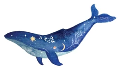 Space sticker STK-2568
