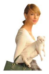 Taylor Swift sticker STK-1723