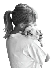 Taylor Swift sticker STK-1727