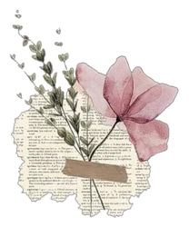 Vintage sticker STK-2528